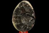 Septarian Dragon Egg Geode - Black Crystals #109965-1
